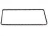 正时链条 Timing Chain:12660118