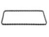 正时链条 Timing Chain:11 41 7 516 132