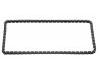 正时链条 Timing Chain:03C 109 158 A