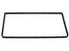 Timing Chain:13028-6N200